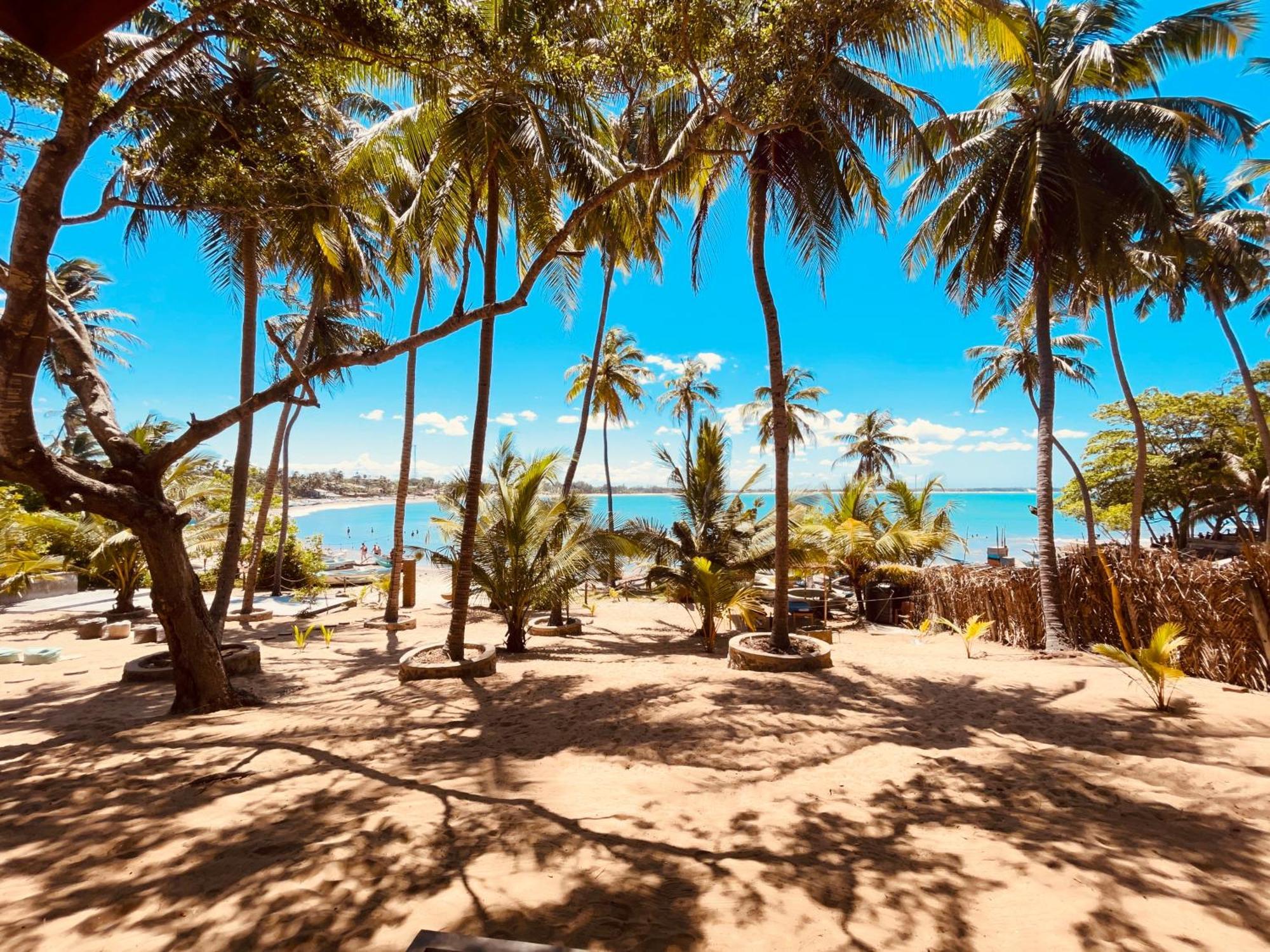 Coconut Hill Arugam Bay Vandrarhem Exteriör bild