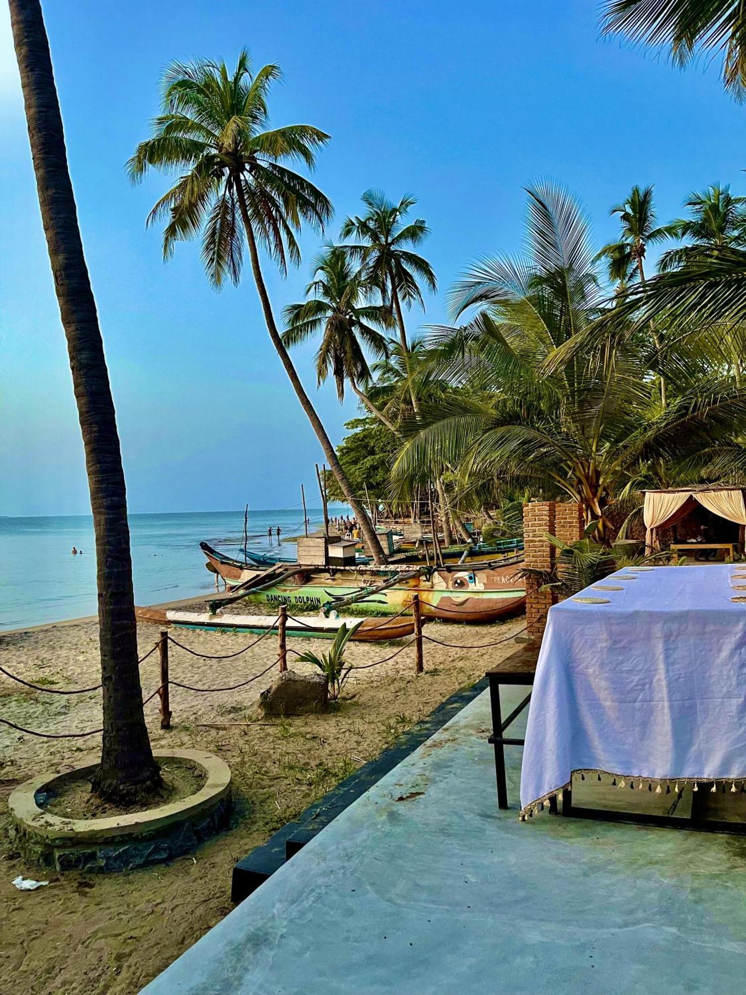 Coconut Hill Arugam Bay Vandrarhem Exteriör bild